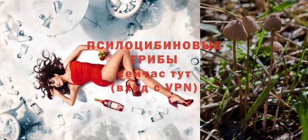 соль ск Гусев