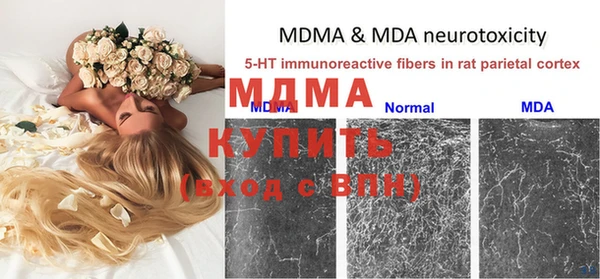 стафф Гусь-Хрустальный