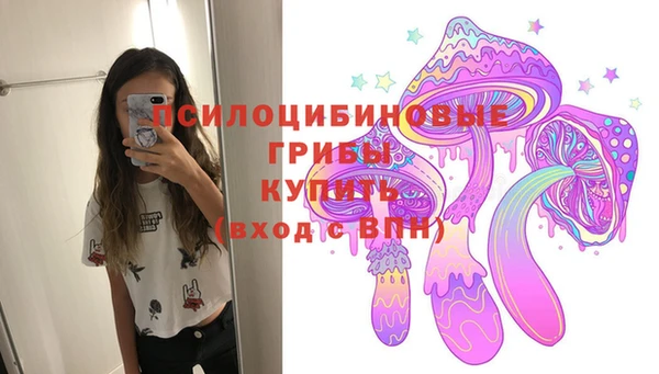 стафф Гусь-Хрустальный