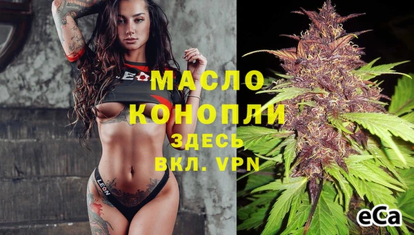 стафф Гусь-Хрустальный