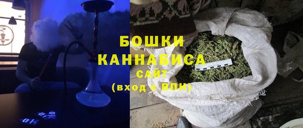 соль ск Гусев