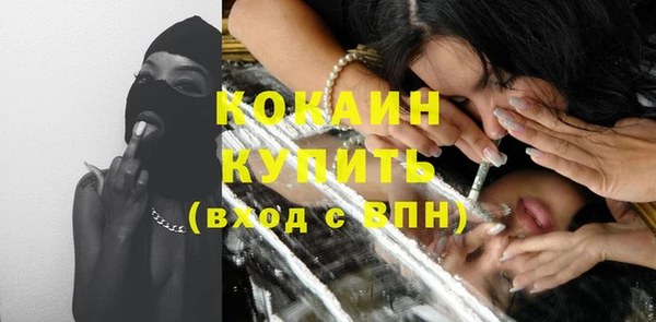 соль ск Гусев