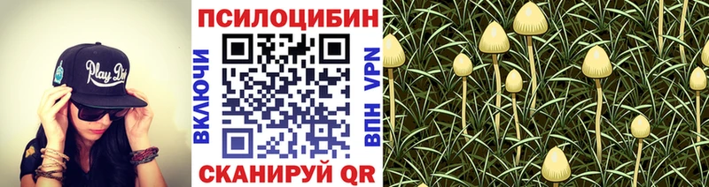 Галлюциногенные грибы MAGIC MUSHROOMS как найти закладки Озёрск